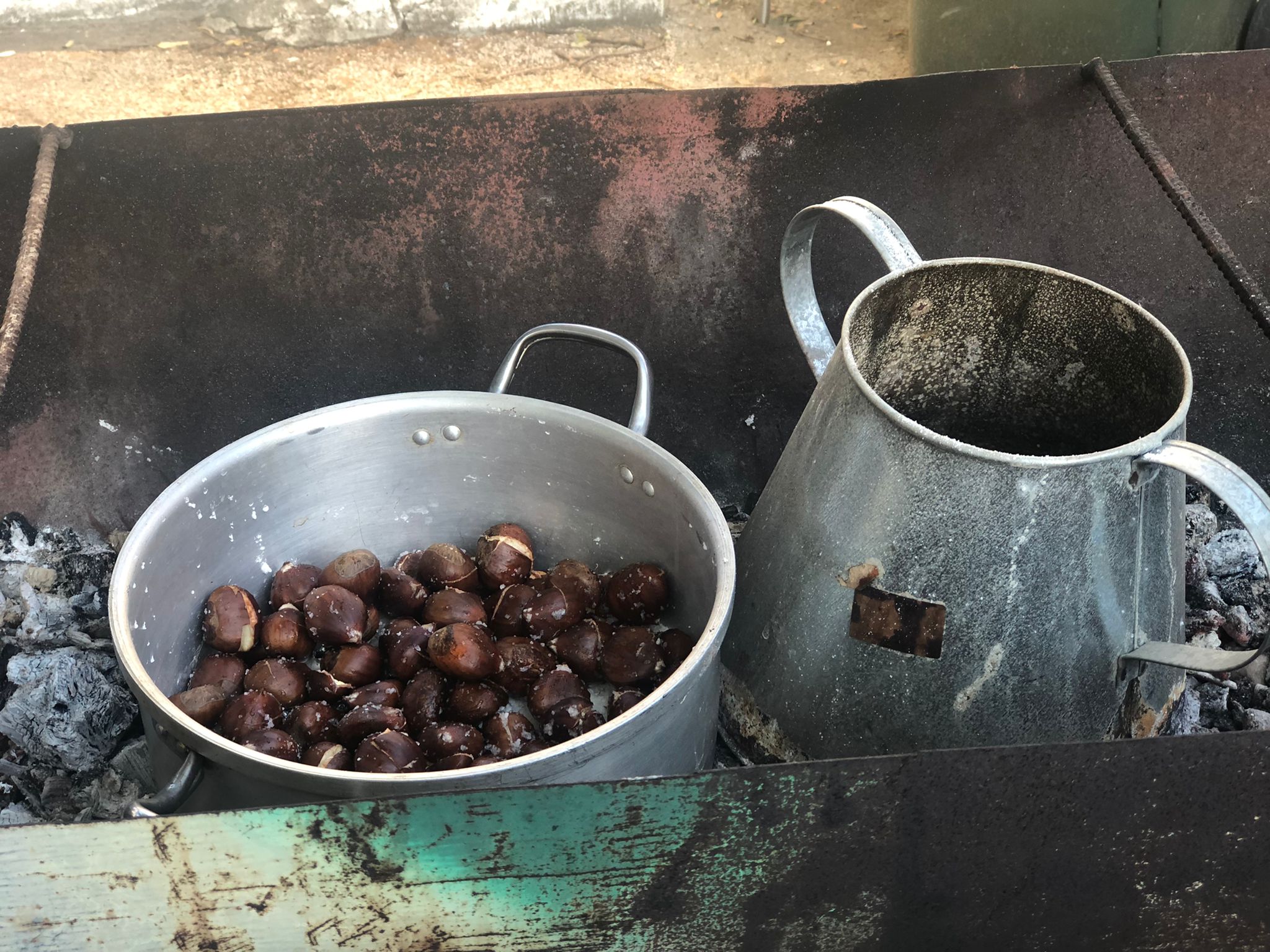 WhatsApp-Image-2021-11-12-at-10.42.07