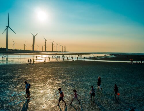 REFLEX: Exposição Mundo com Futuro