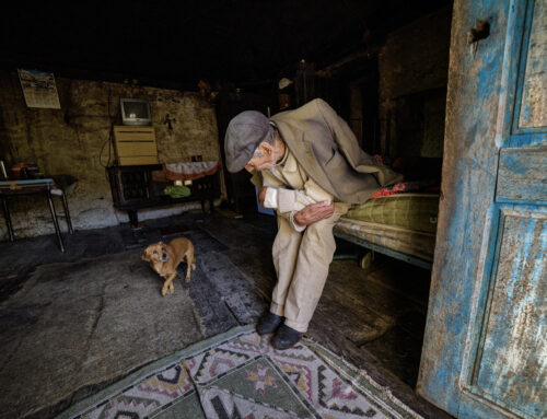 novobanco e CAIS anunciam os vencedores da 18ª edição do REFLEX – Prémio de Fotografia